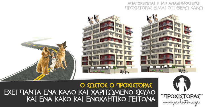 Παντού υπάρχει ένας σκύλος