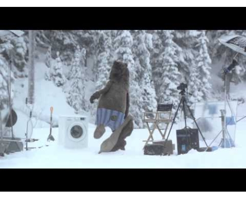 Επίθεση από αρκούδα σε τηλεοπτικό συνεργείο